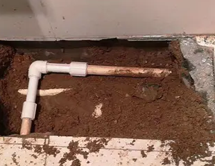 介休测漏水哪家好