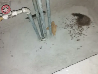 介休卫生间测漏水价格明细